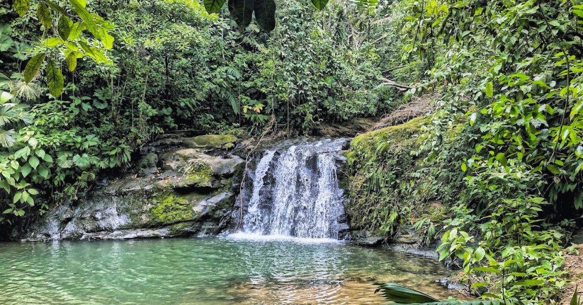 a waterfall in Costa Rica (near Puerto Viejo) surrounded by lush, vivid green jungle. 