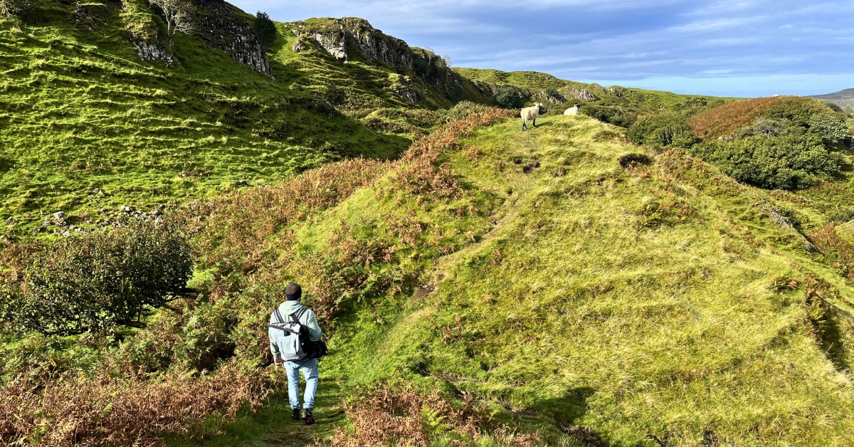Matze of Oso Osito is walking in a grassy, hilly field towards a small, pointed hill that has a couple of sheep on top. The sheep are relaxing in the sunshine and every piece of land in frame is soaked in shades of vibrant green.